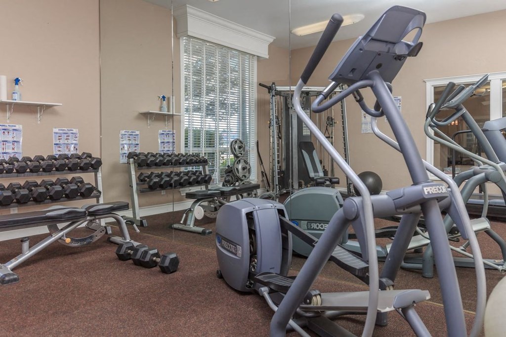 Silver Shadow Apartments indoor gym