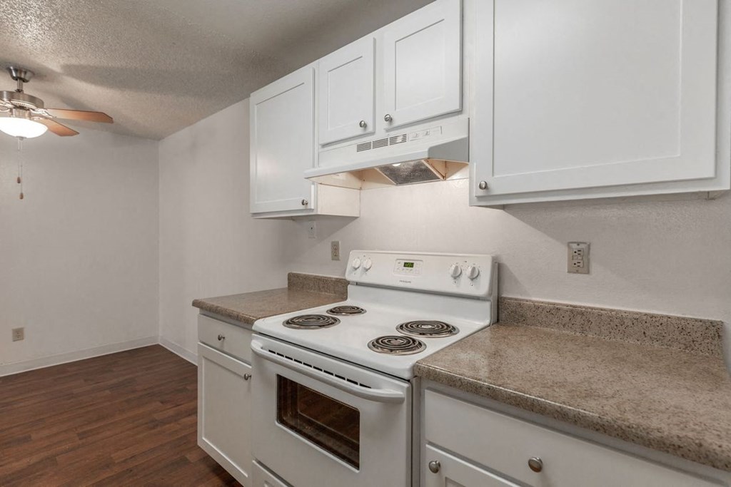 Silver Shadow Apartments stove and counter tops