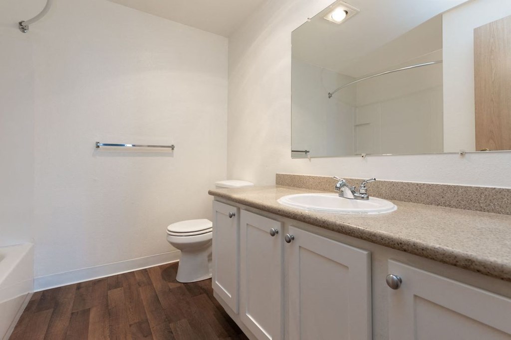 Silver Shadow Apartments sink countertop and toilet