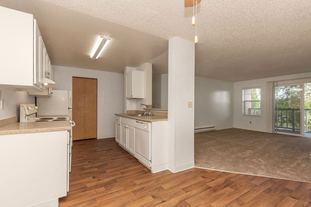 Silver Shadow Apartments spacious kitchen and living area