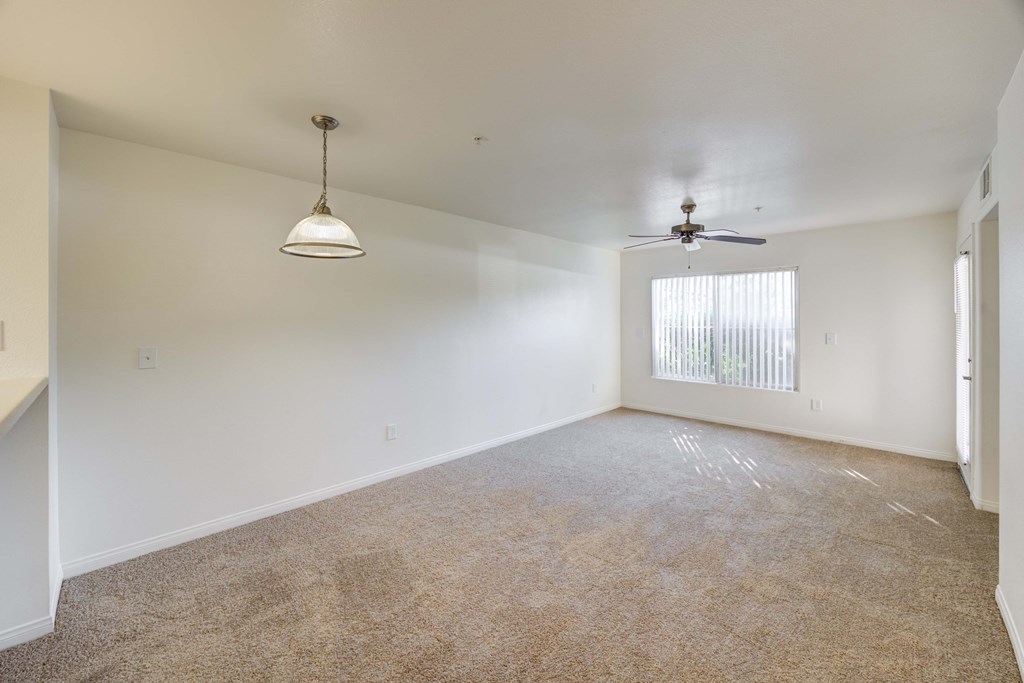 A room with a carpeted floor, a ceiling fan, and a window with blinds.