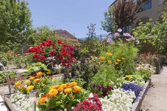 Sorrento Villas garden