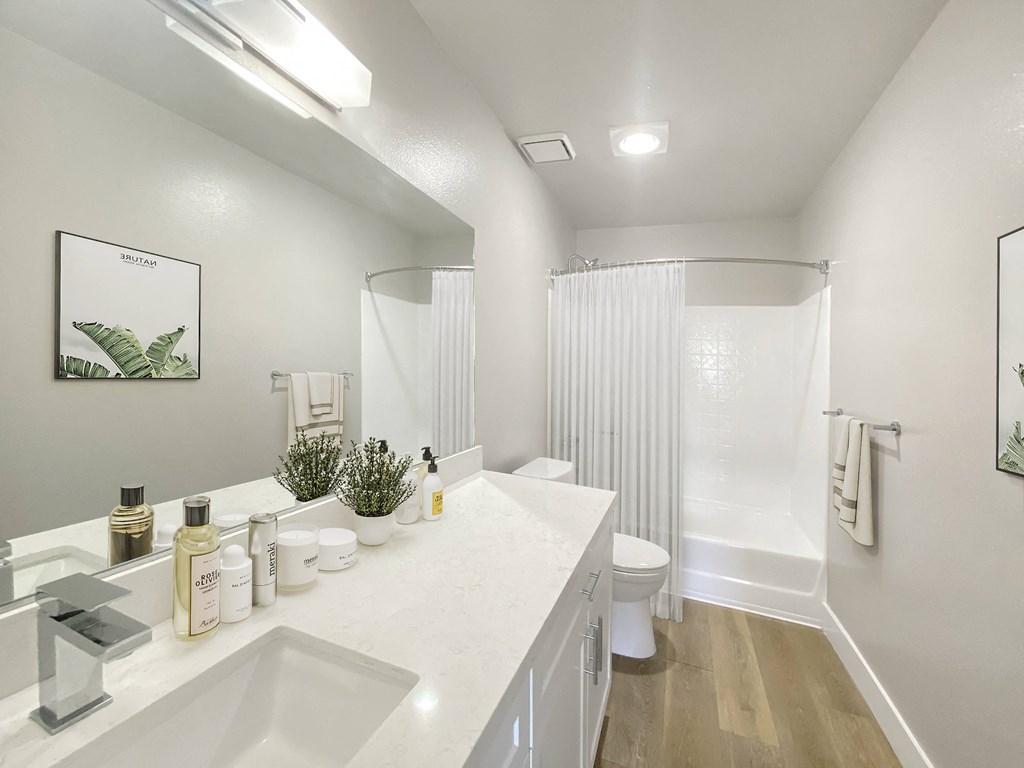 Renovated Bathroom, Staged