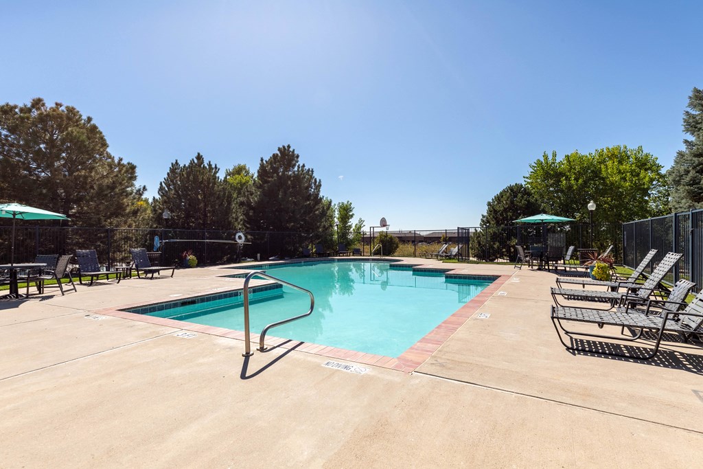 A large swimming pool surrounded by trees and lounge chairs.