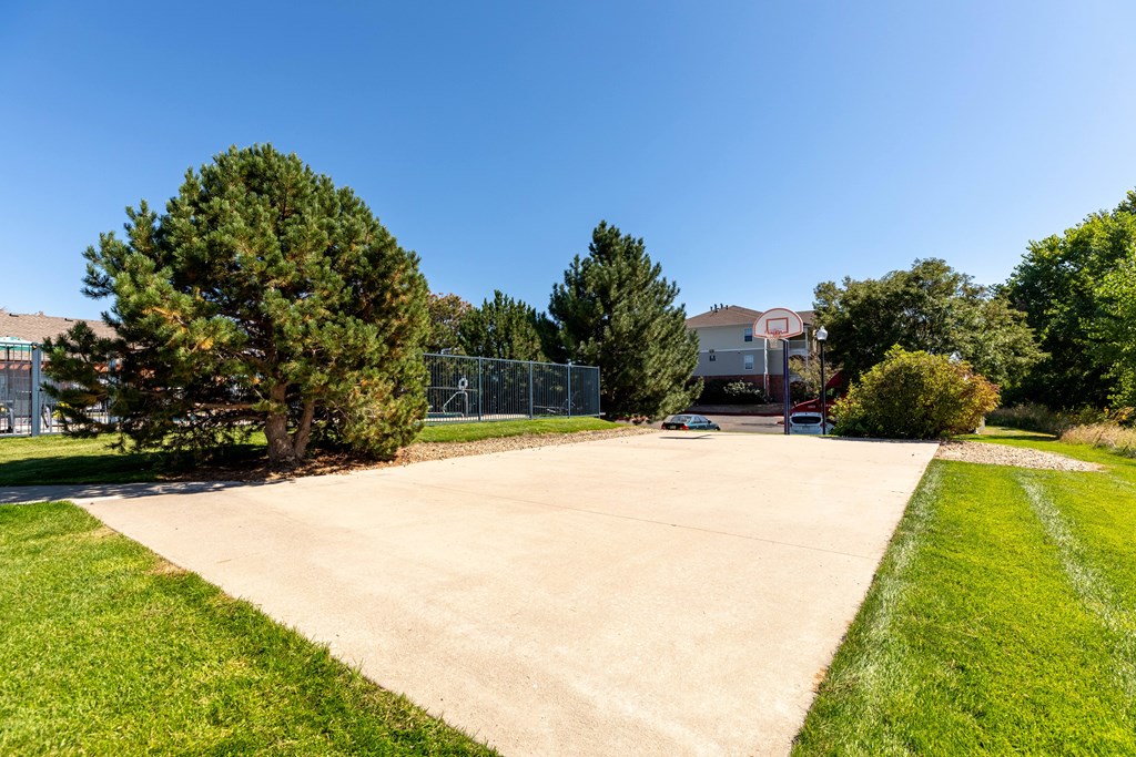 A basketball hoop is visible in the background of a grassy area with a concrete pathway leading to a basketball court.