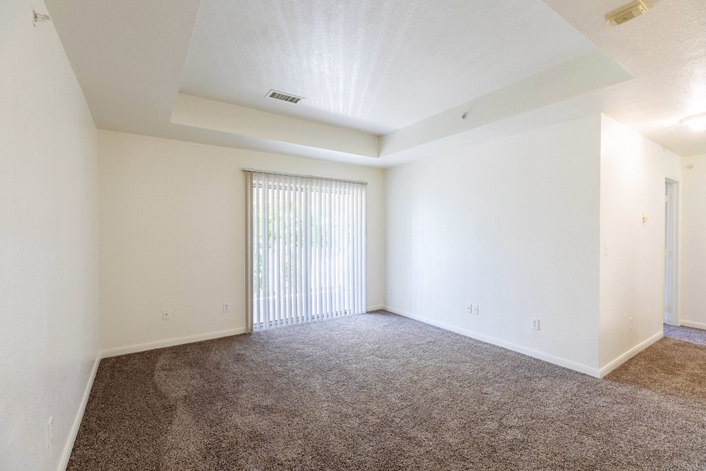 A room with a carpeted floor and a window with blinds.