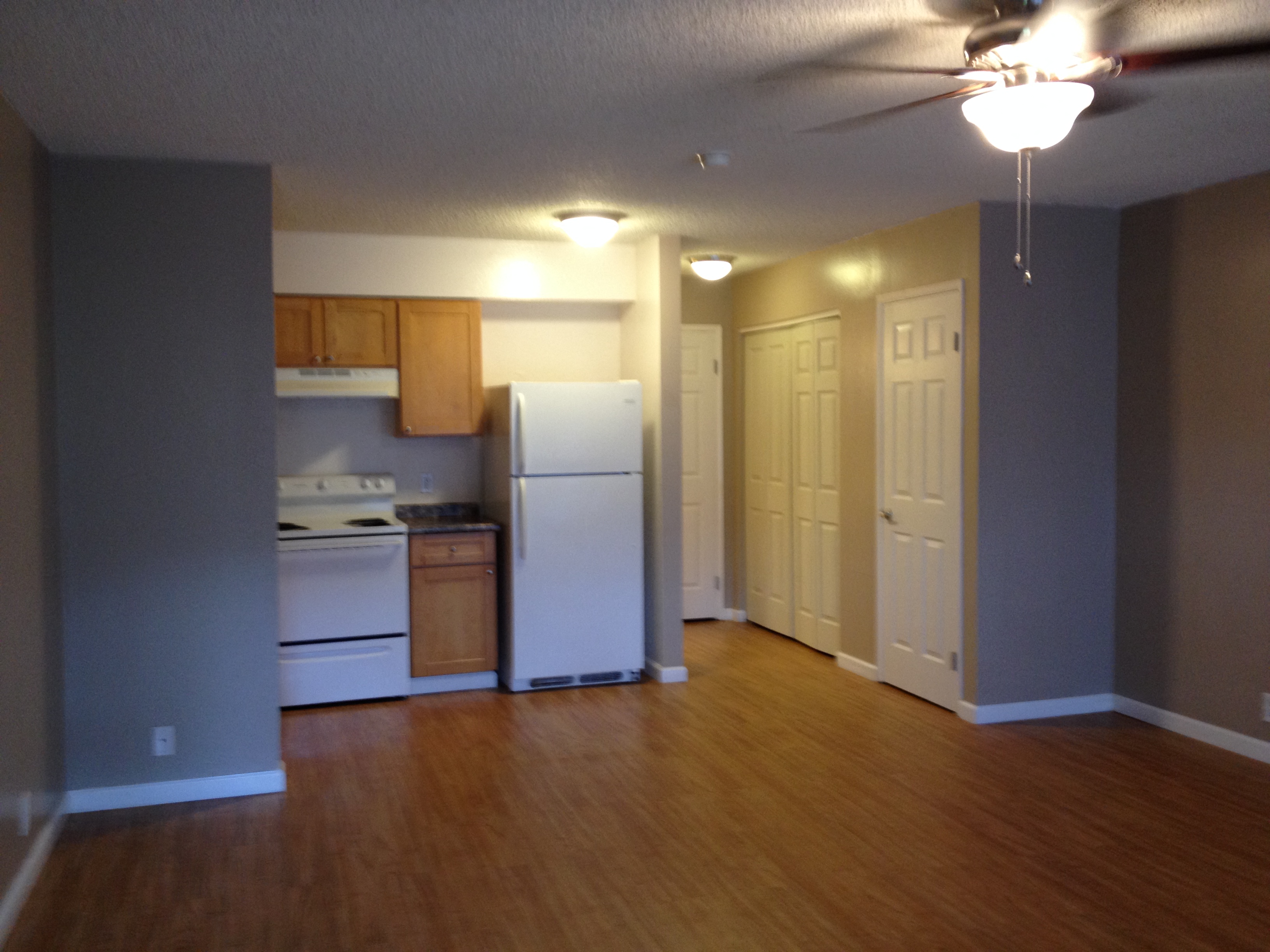 Coconut Inn living and kitchen area