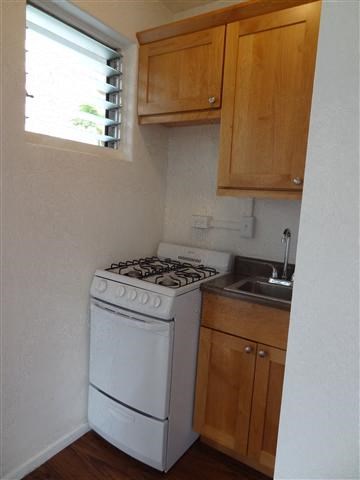 Moana Vista Studio Small Kitchen Stove and Oven