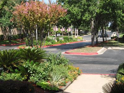 Trials of Walnut Creek garden and pathways