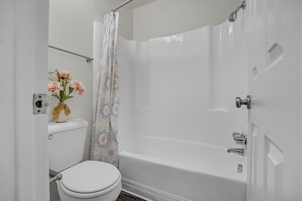 a bathroom with a toilet and a bathtub
