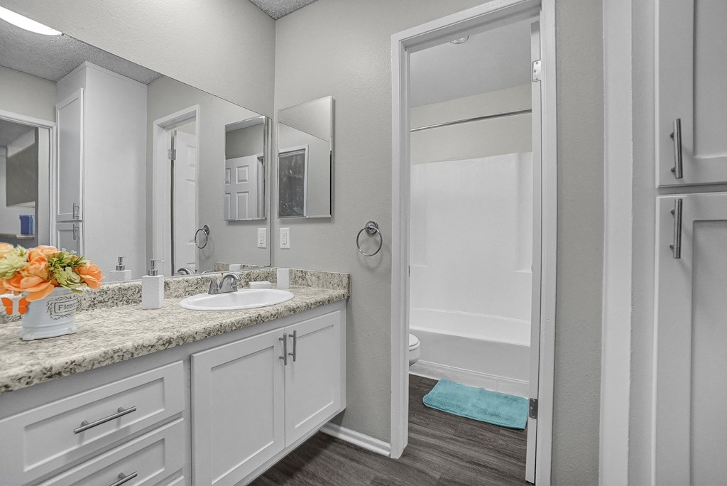 a bathroom with a sink and a shower