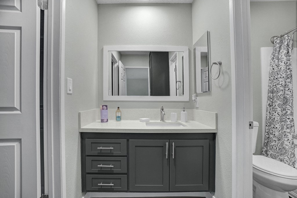 a bathroom with a sink and a mirror