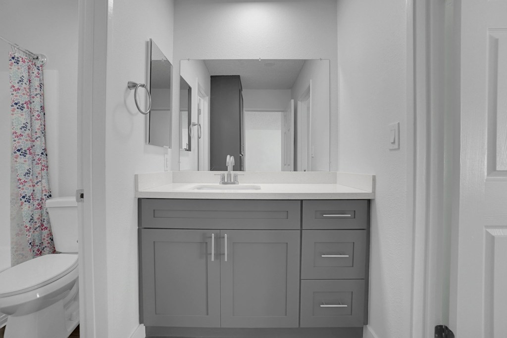 Tierra Del Sol 1 Bedroom Bathroom