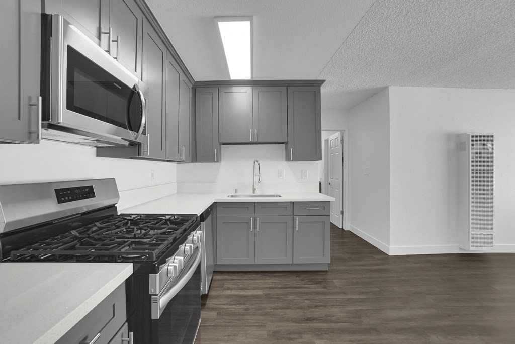 Tierra Del Sol 1 Bedroom Kitchen