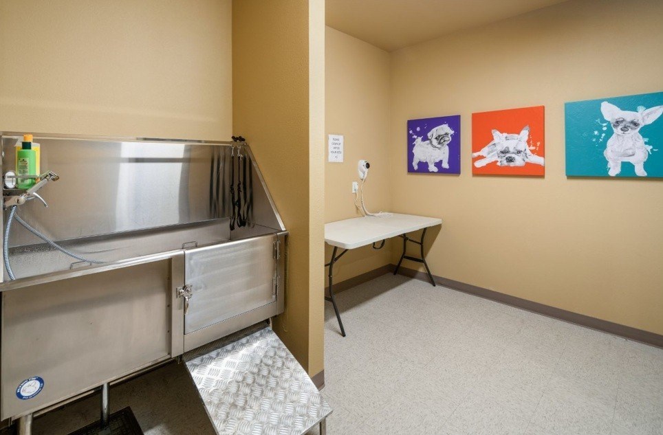 Traditions at Lafayette dog wash