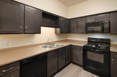 A kitchen with black cabinets and appliances.