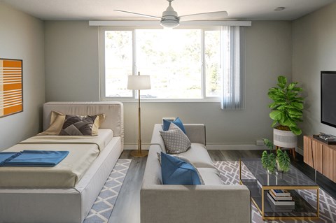 a living room with two couches and a television