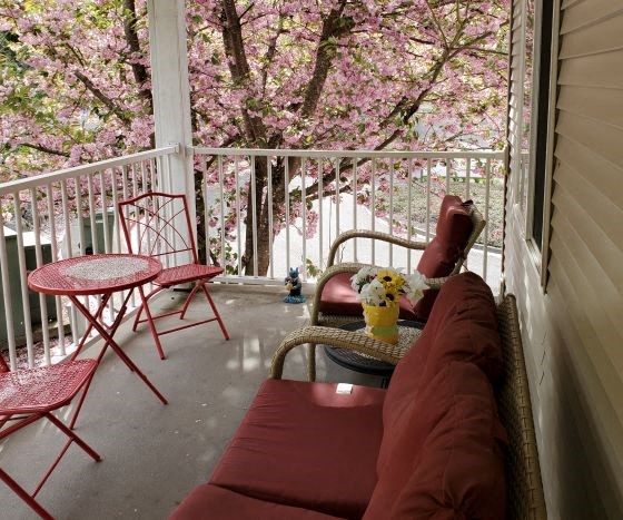 Vasa Creek Sun Porch