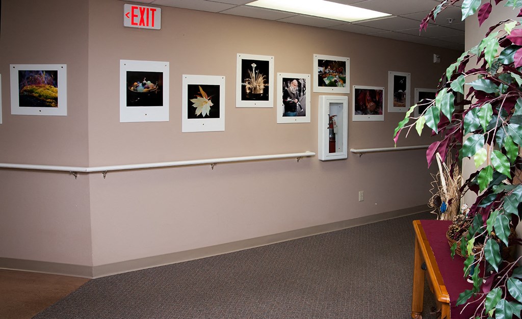 VasaCreek_ResidentArtwork