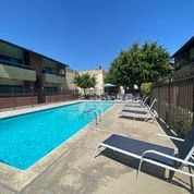 Villa Del Sol Pool Length and Lounge Chairs