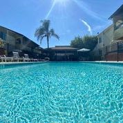 Villa Del Sol Sparkling Swimming Pool