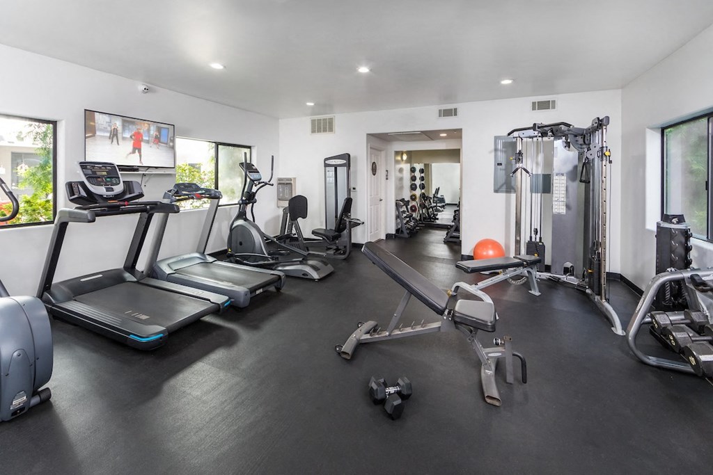 a gym with treadmills and other exercise equipment