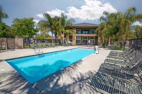 A large swimming pool surrounded by sun loungers and palm trees.