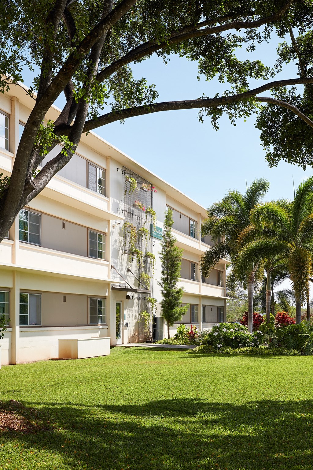 WakeaGardens_Exterior_GrassyCourtyardAndLandscaping