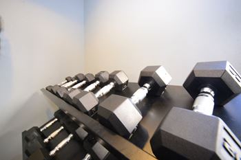 Image of fitness center weights