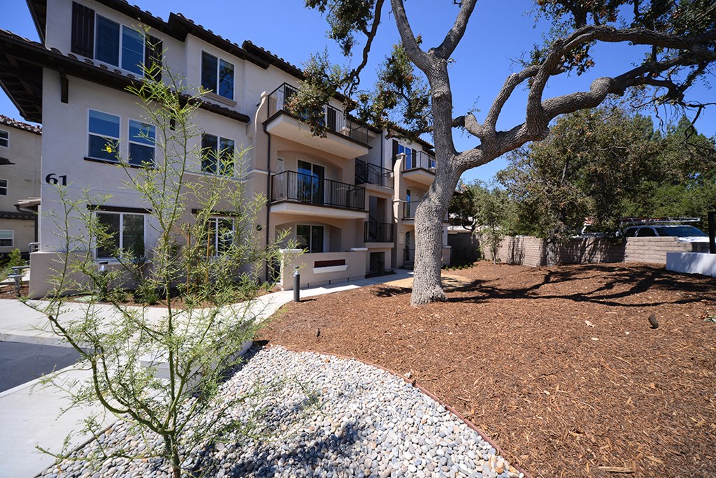 Yolo Apartments Exterior Building Walkway and Tree Planter