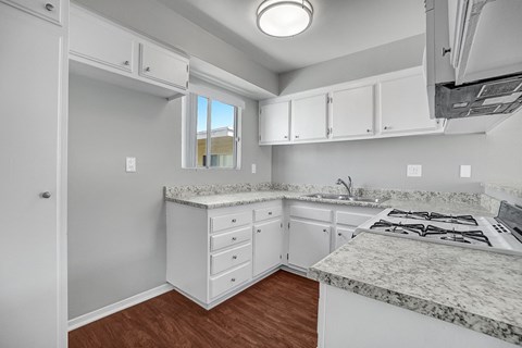 capistrano gardens unit 105 kitchen