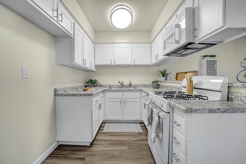 capistrano gardens unit 47 kitchen