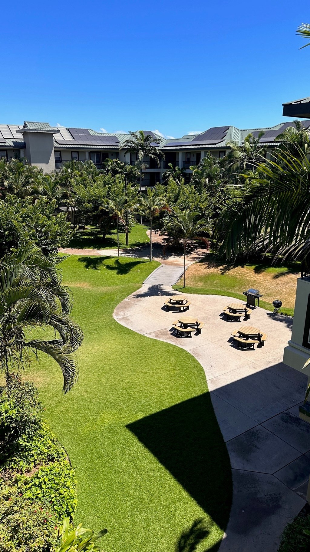 The Waterfront Apartments Courtyard