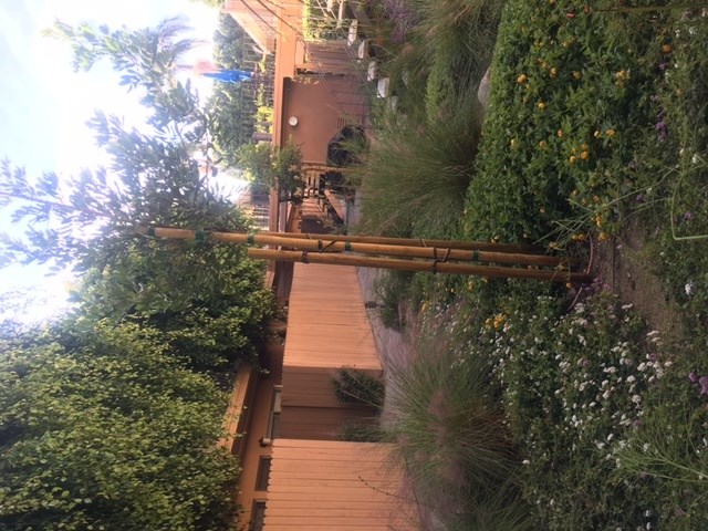 Ponderosa Apartments