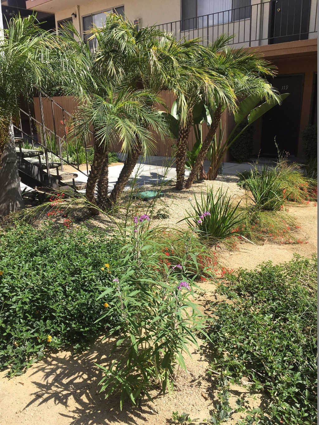 Ponderosa Apartments