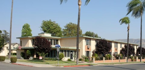 A building with a green awning and palm trees in front.