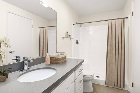 A bathroom with a sink, toilet, and shower.