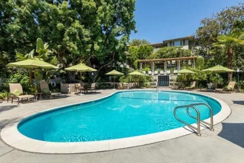 A swimming pool surrounded by trees and umbrellas.