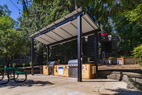 Larkspur West Linn Staged BBQ and Picnic Area