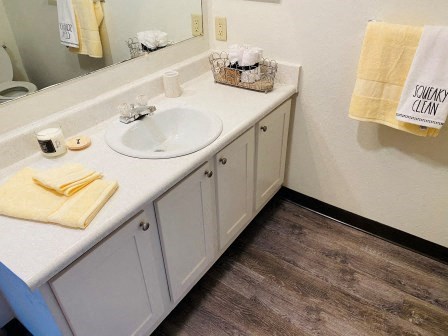 Silver Shadow Apartments Bathroom and Vanity