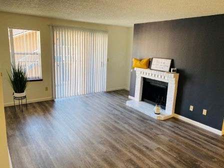 Silver Shadow Apartments Living Room with fireplace