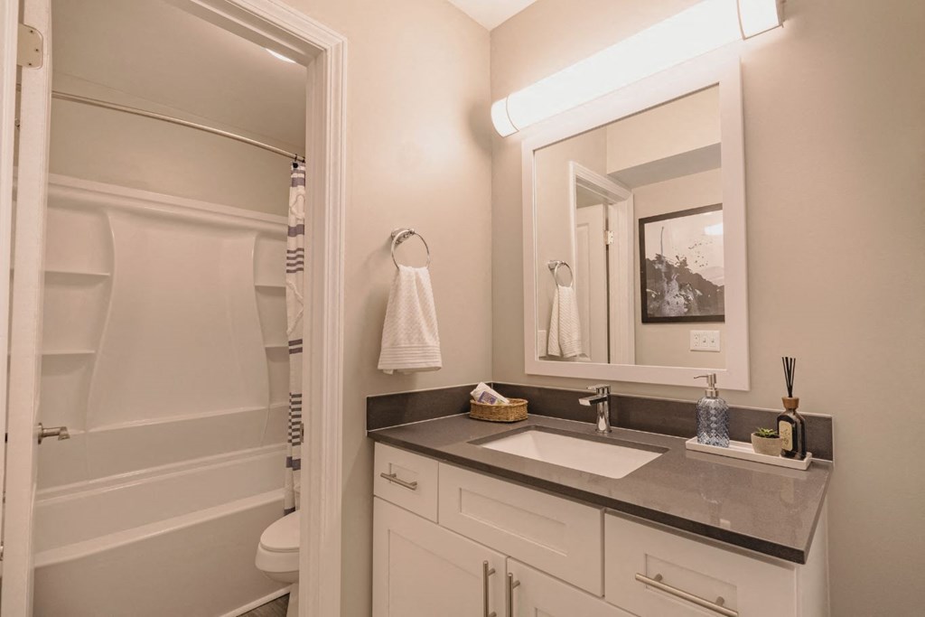 a bathroom with a sink and a bathtub
