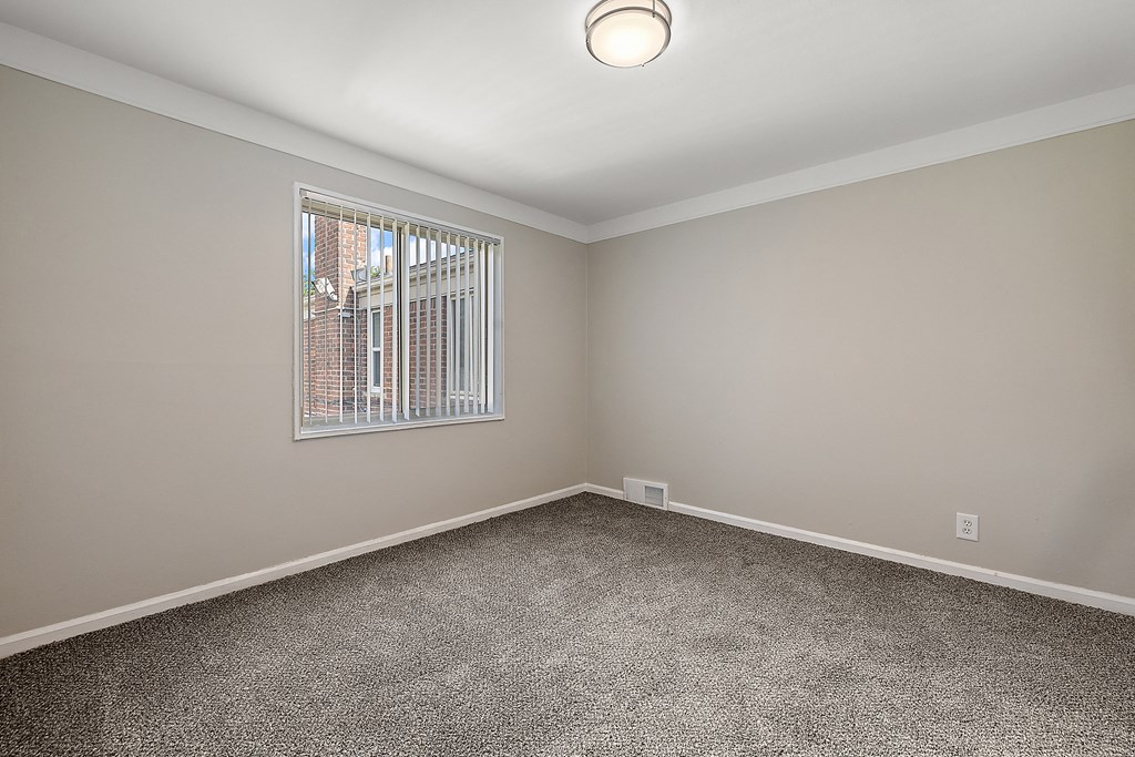 a bedroom with gray walls and carpet