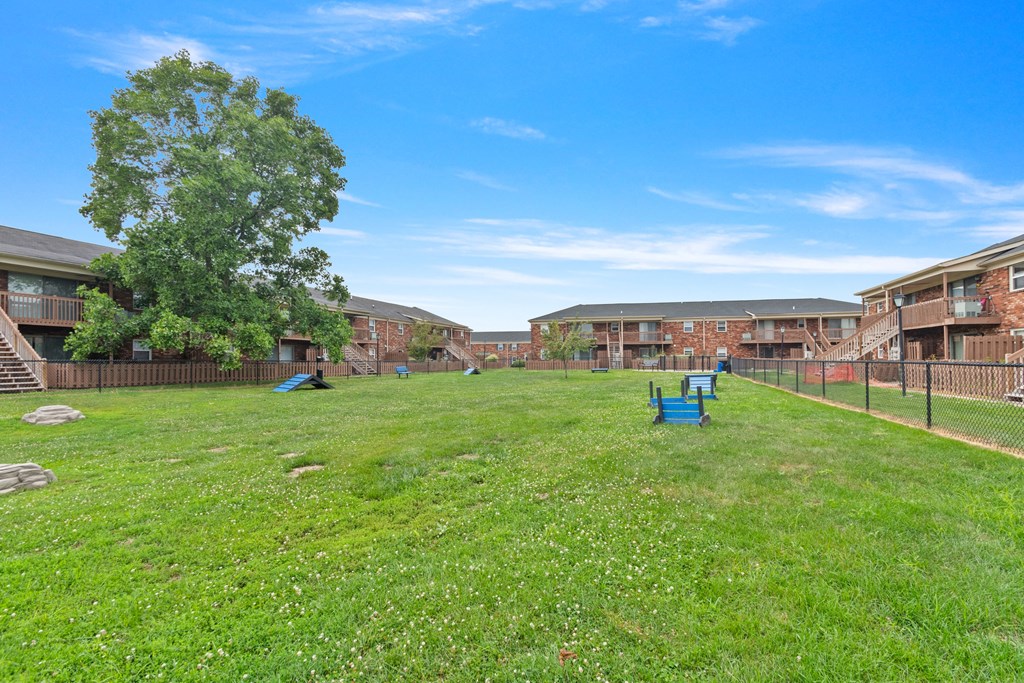 a grassy area with a tree in the middle of it