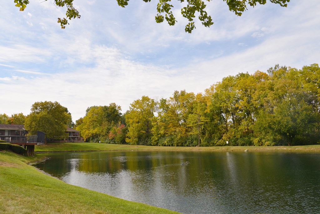 Meridian Court South | Indianapolis, IN