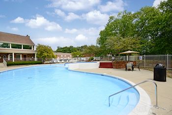 A large swimming pool surrounded by a fence and trees.