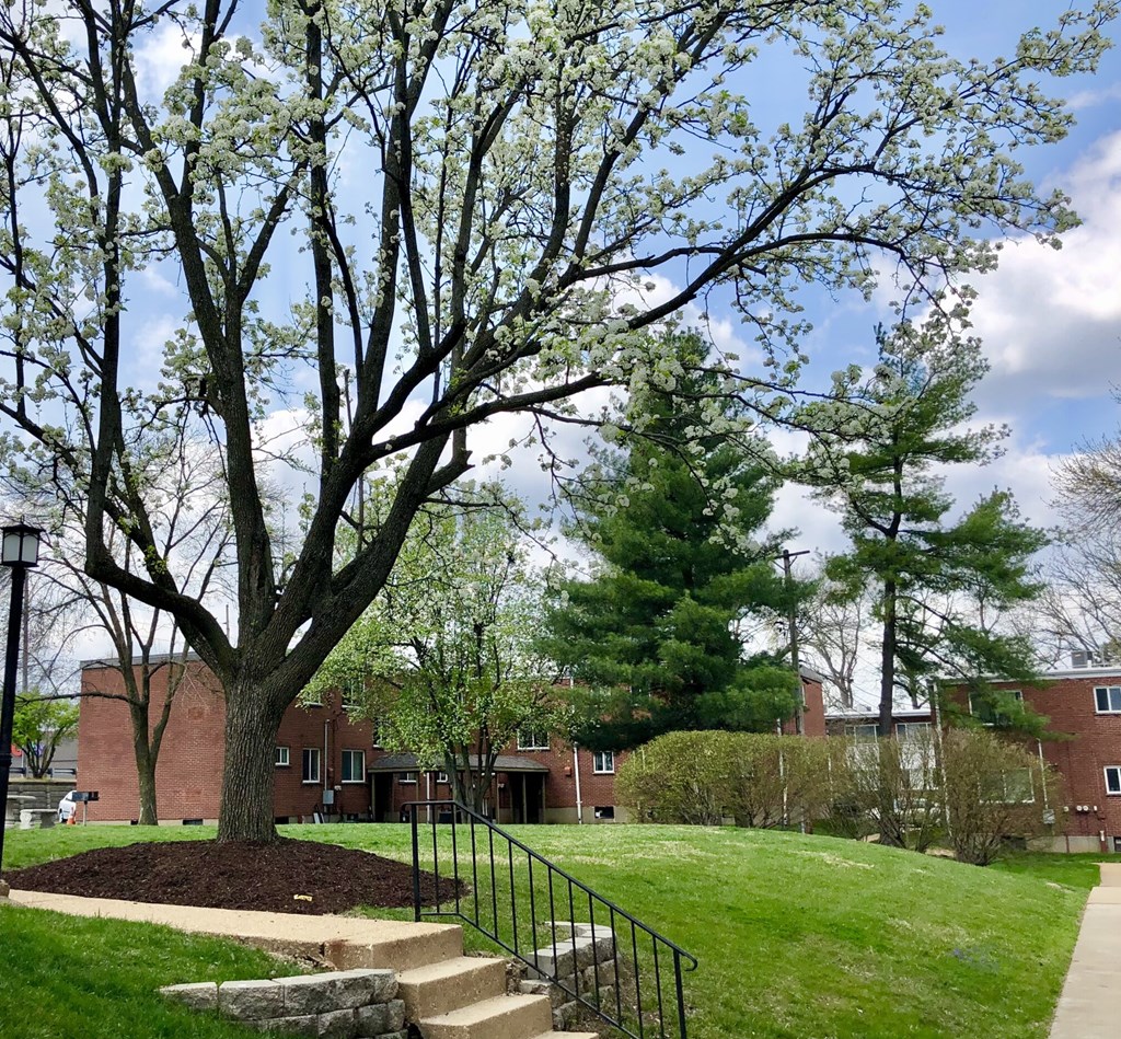 Olive Pointe Exterior