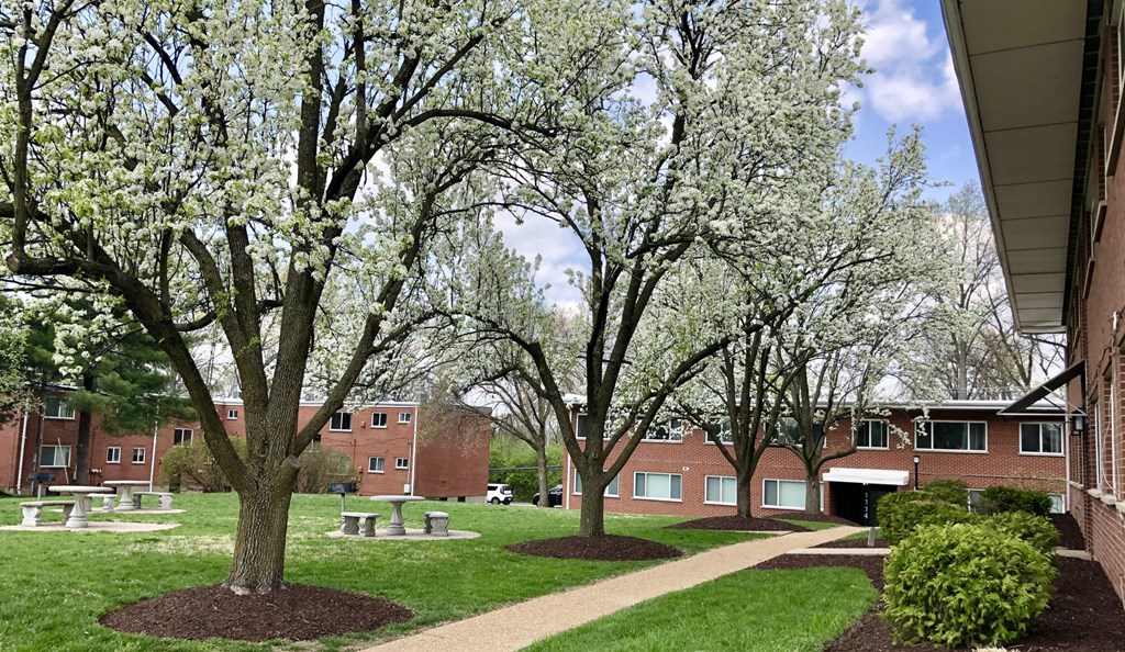 Olive Pointe Exterior