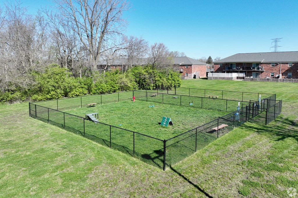 A dog park with a black fence and green grass.