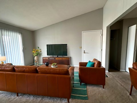 A living room with a brown sofa and a green rug.